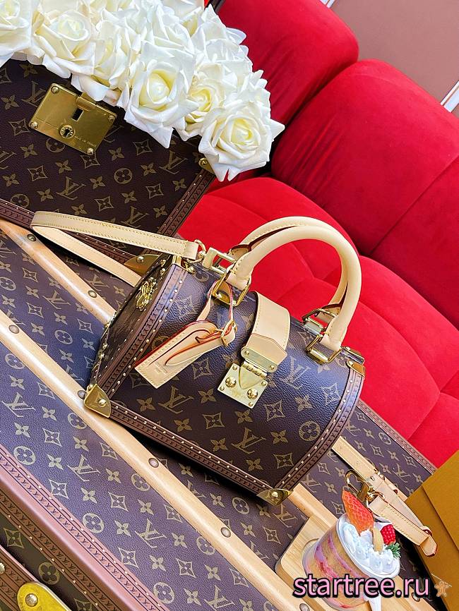 Louis Vuitton LV Speedy Trunk bag M11154-21*15*13CM - 1