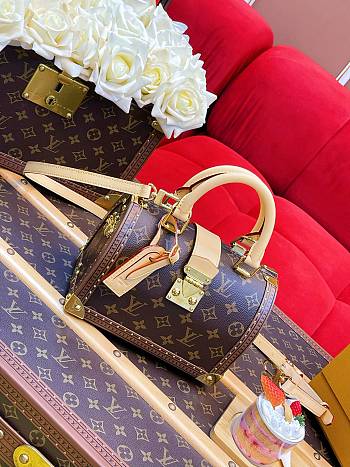 Louis Vuitton LV Speedy Trunk bag M11154-21*15*13CM