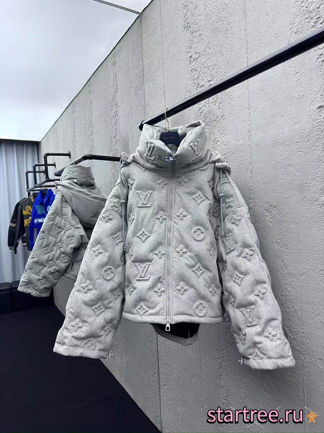 Louis Vuitton Down Coat 001 - 1