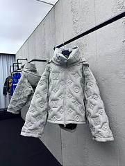 Louis Vuitton Down Coat 001 - 1