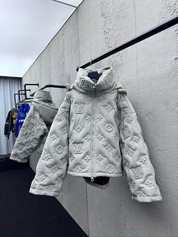 Louis Vuitton Down Coat 001