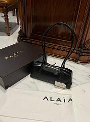 Alaia Medium LE TECKEL SMALL BAG IN GOATSKIN Black- 33cm X 11cm X 10cm - 5