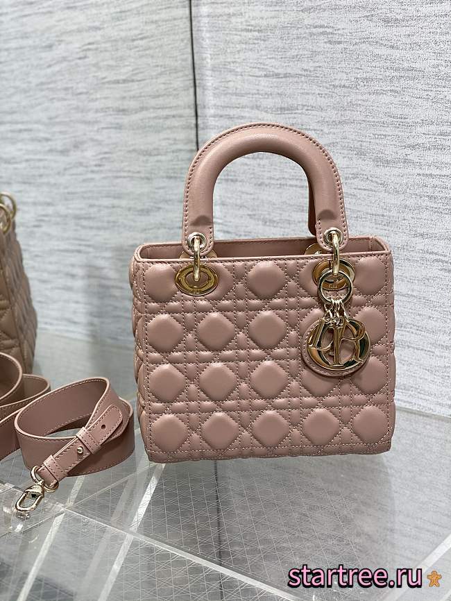 Dior Small Lady Bag 006-20*8*17cm - 1