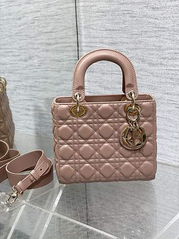 Dior Small Lady Bag 006-20*8*17cm