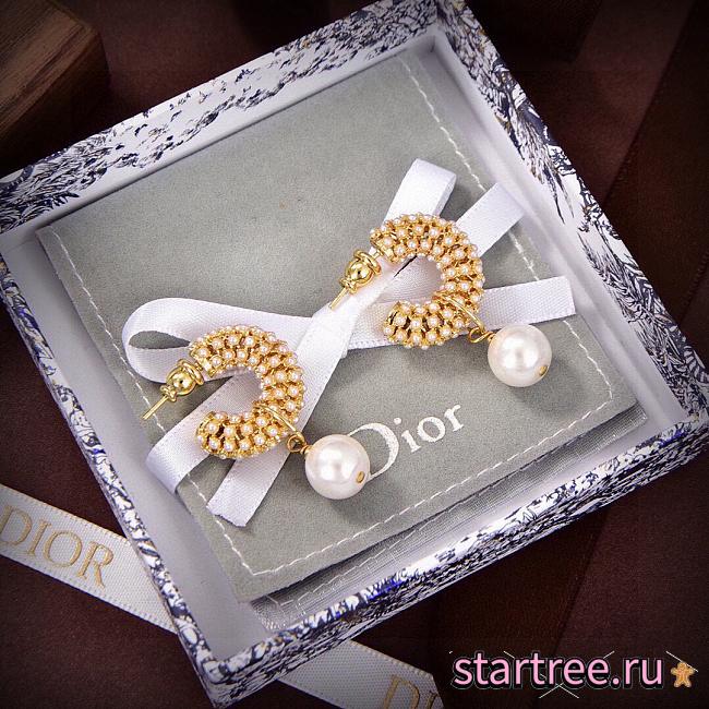 Dior Earrings 013 - 1