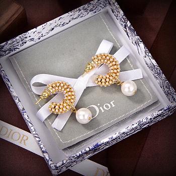 Dior Earrings 013