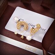 Dior Earrings 013 - 4