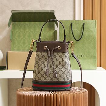 Gucci Ophidia small bucket bag Beige