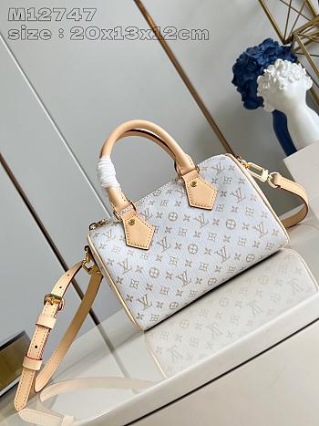 Louis Vuitton Speedy Bandoulière 20 M12747