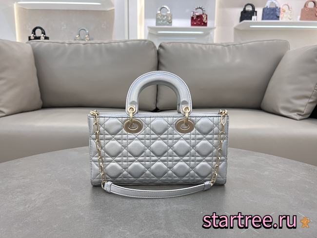 Dior Lady D-Joy Medium Sliver-26cm - 1