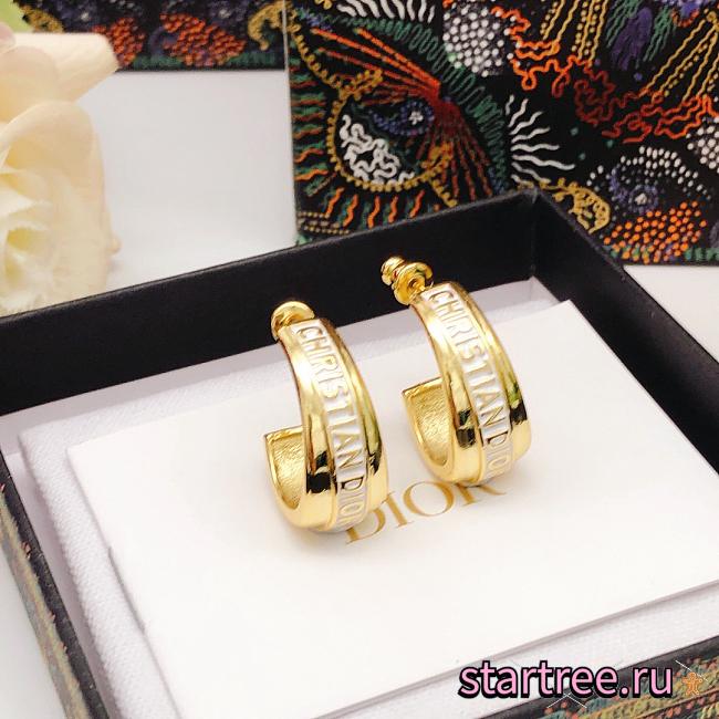 Dior Earrings 014 - 1