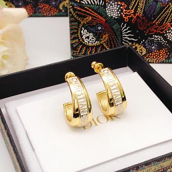 Dior Earrings 014