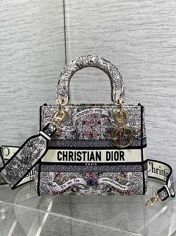 Dior Medium Lady D-Lite Bag Latte Embroidery with Multicolor-24cm