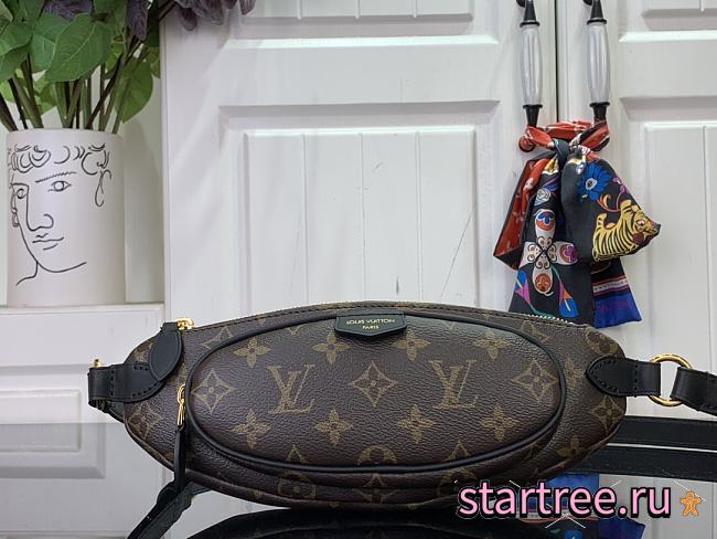 Louis Vuitton Keepit Monogram Bag-29cm - 1