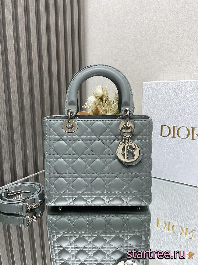 Dior Medium Lady Dior Lamskin Leather 003-24cm - 1