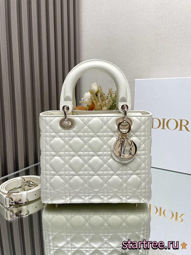 Dior Medium Lady Dior Lamskin Leather 008-24cm - 1