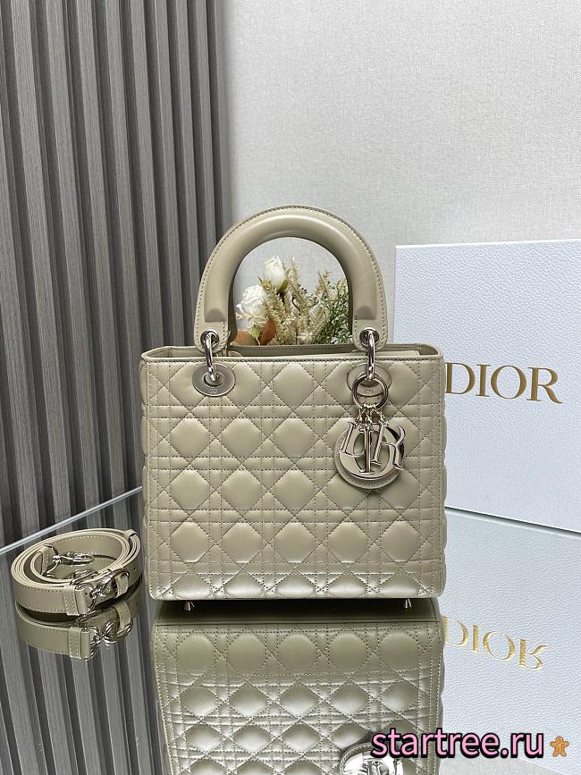 Dior Medium Lady Dior Lamskin Leather 009-24cm - 1