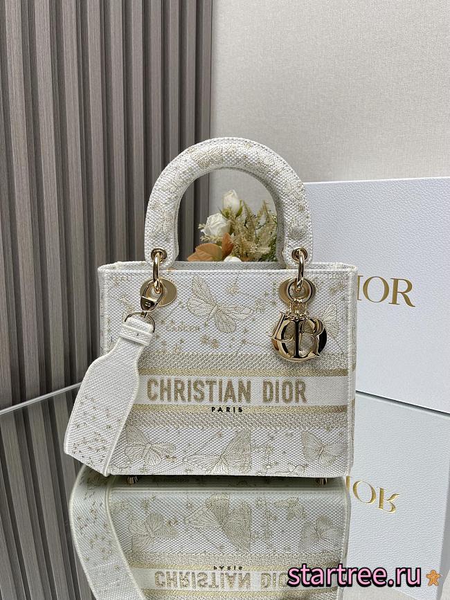Dior D-Lite Medium Lady Bag -24cm - 1