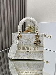Dior D-Lite Medium Lady Bag -24cm - 1