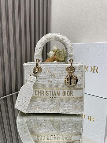 Dior D-Lite Medium Lady Bag -24cm