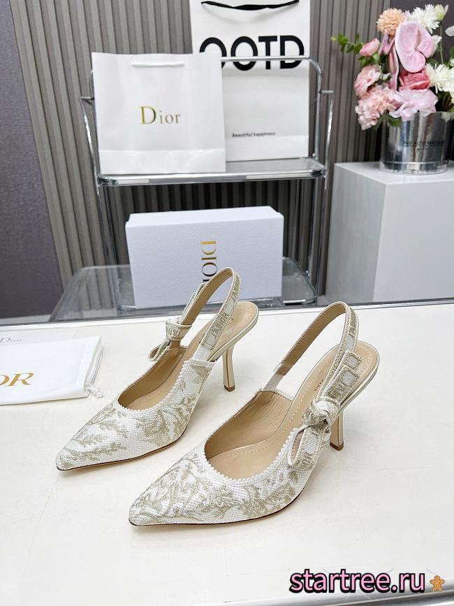 Dior Pumps Heels 001 - 1