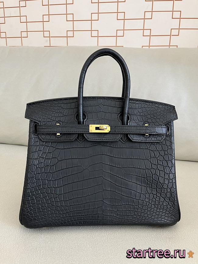 Hermes Birkin 25 Matte Black Crocodile Gold Hardware - 1