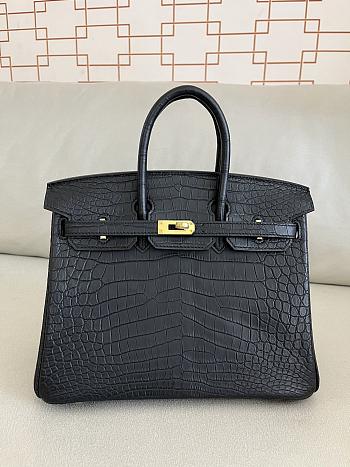 Hermes Birkin 25 Matte Black Crocodile Gold Hardware