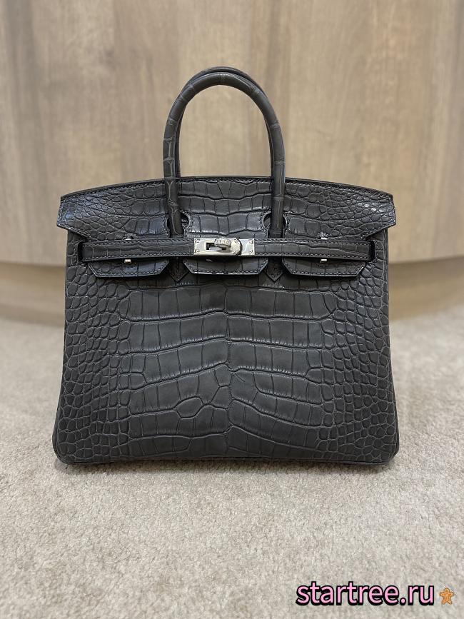 Hermes Birkin 25 Matte Black Crocodile Silver Hardware - 1