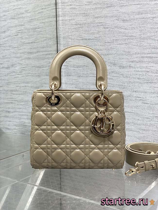 Dior Small Lady Bag 009-20*8*17cm - 1