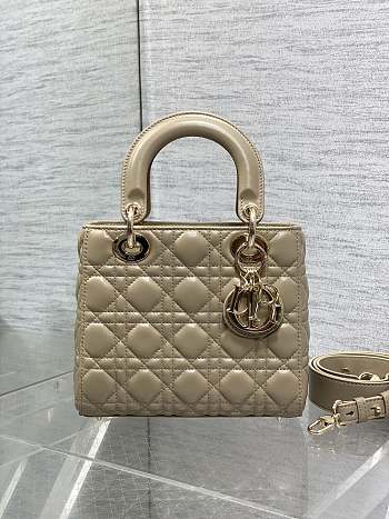 Dior Small Lady Bag 009-20*8*17cm