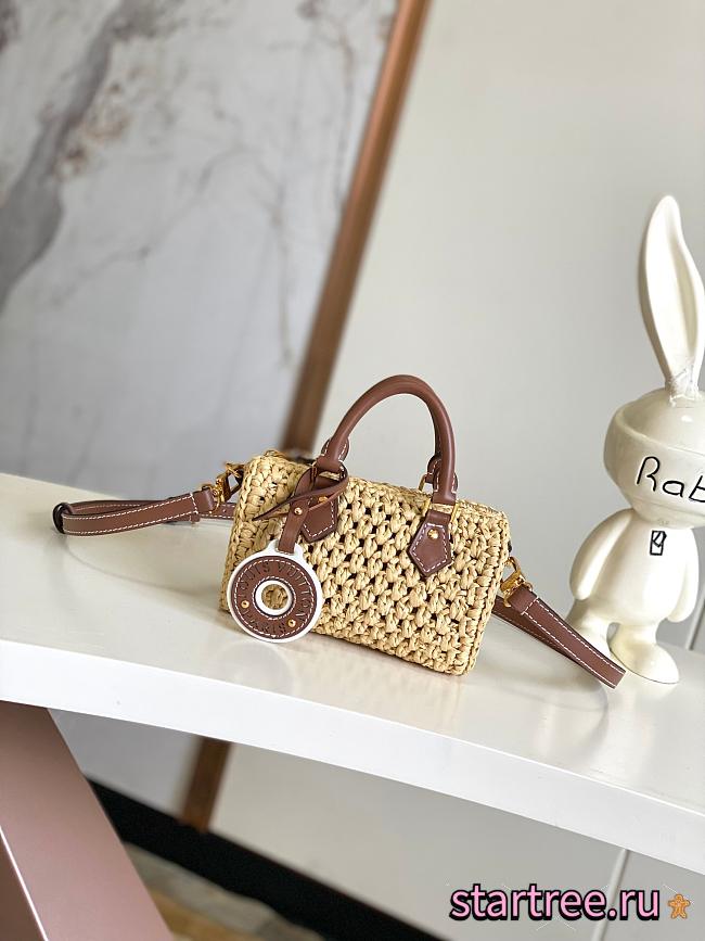 Louis Vuitton Nano Speedy Other Monogram Canvas - 1