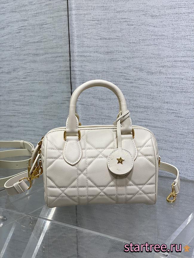 Dior Groove 20 Bag Calfskin- 20.5 x 13.5 x 12 cm - 1