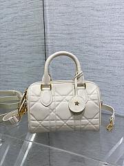Dior Groove 20 Bag Calfskin- 20.5 x 13.5 x 12 cm - 1