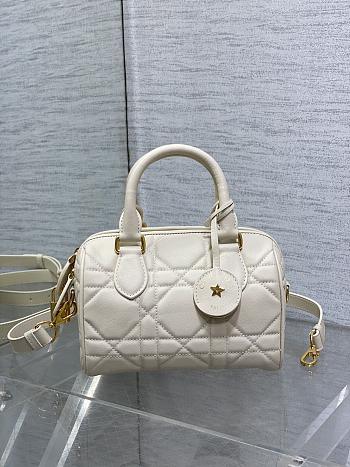Dior Groove 20 Bag Calfskin- 20.5 x 13.5 x 12 cm