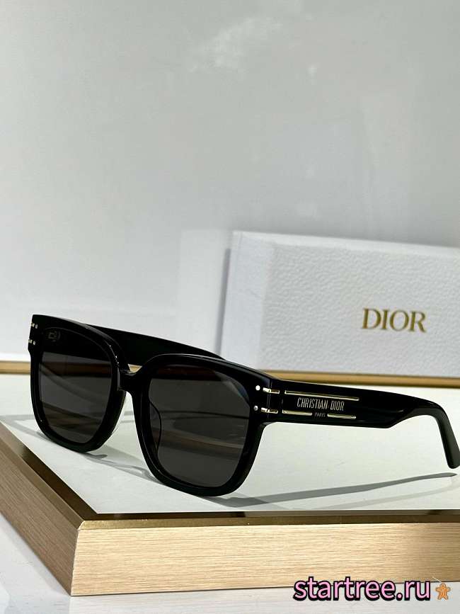 Dior Sunglasses 003 - 1