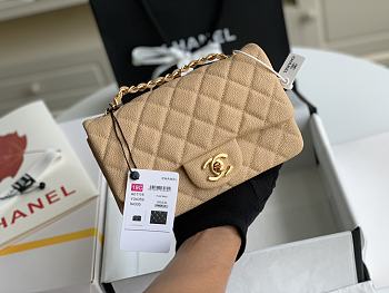 CHANEL Classic Double Flap Mini Shoulder Bag apricot Caviar-20cm