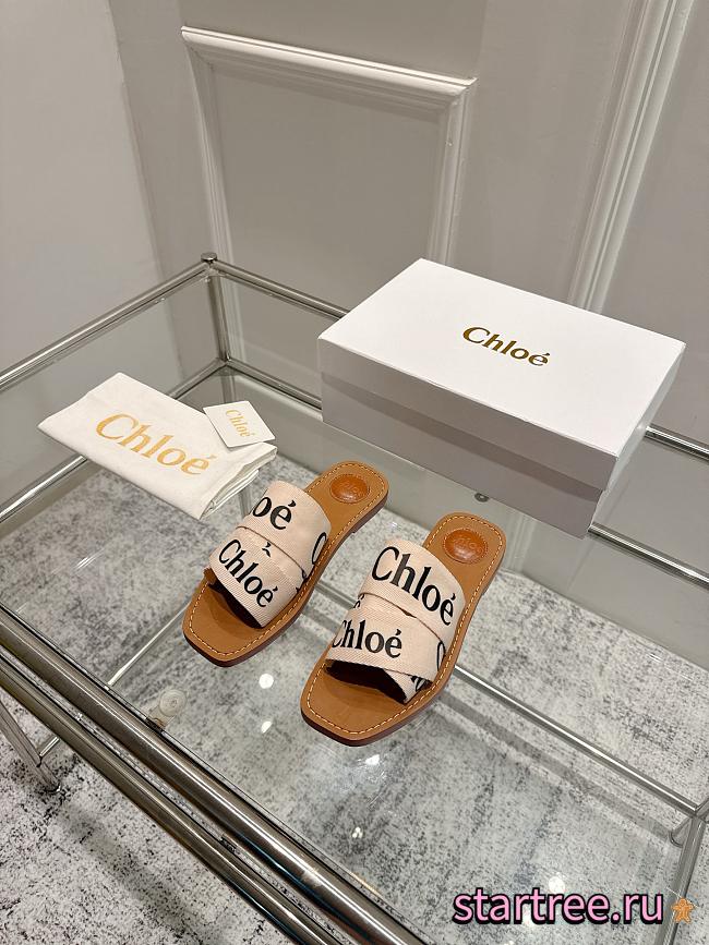 Chole Slides 001 - 1