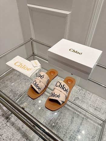 Chole Slides 001