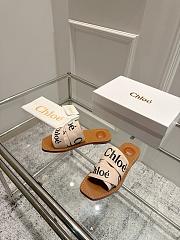 Chole Slides 001 - 4