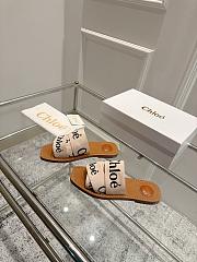 Chole Slides 001 - 3