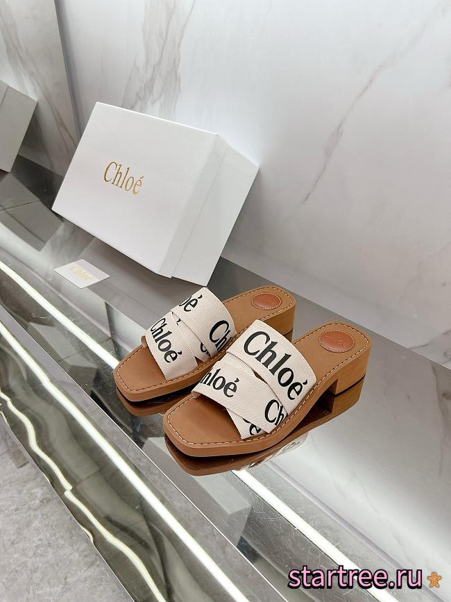 Chole Slides 002 - 1