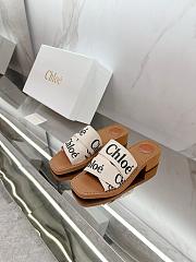 Chole Slides 002 - 1