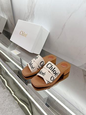 Chole Slides 002