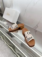 Chole Slides 002 - 3