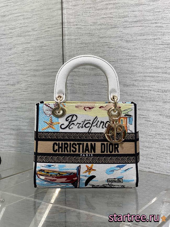 Dior Medium Lady D-Lite Bag Embroidery with Multicolor 002-24cm - 1