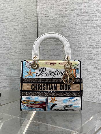Dior Medium Lady D-Lite Bag Embroidery with Multicolor 002-24cm