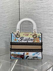 Dior Medium Lady D-Lite Bag Embroidery with Multicolor 002-24cm - 3