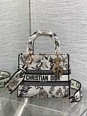Dior Medium Lady D-Lite Bag Embroidery with Multicolor 003-24cm - 2