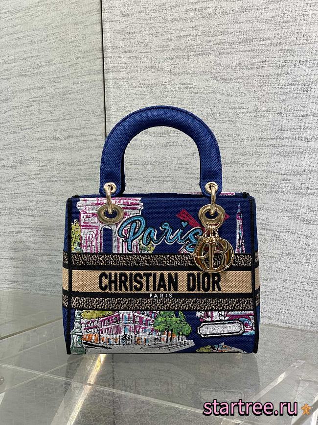 Dior Medium Lady D-Lite Bag Embroidery with Multicolor 004-24cm - 1