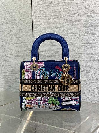 Dior Medium Lady D-Lite Bag Embroidery with Multicolor 004-24cm